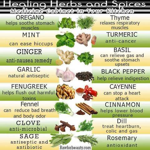 Healing Herbs